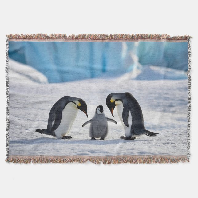 Penguin Family Throw Blanket (Front)