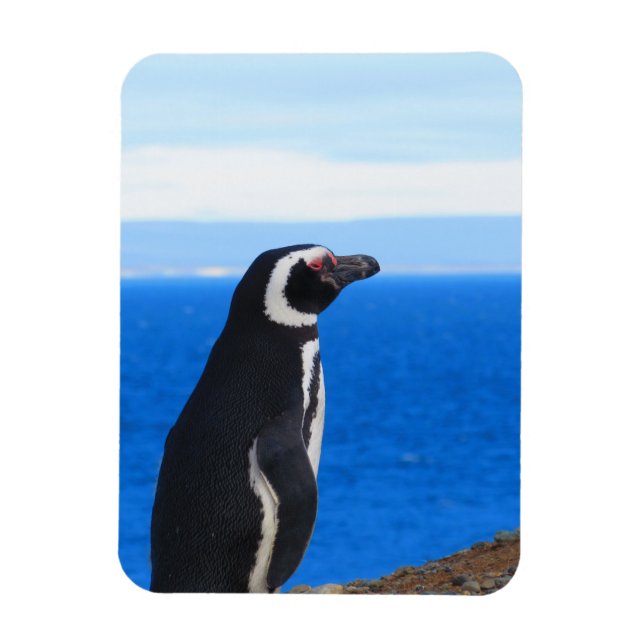 Penguin Flexible Magnet (Vertical)