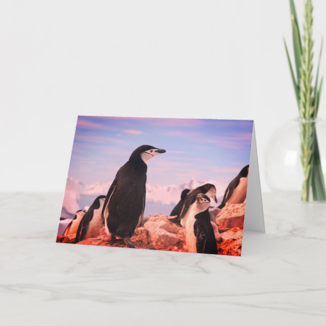 PENGUIN Folded Note Card (Front)