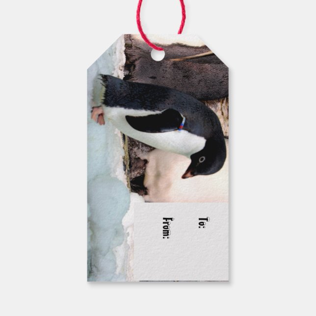 Penguin Gift Tags (Back)
