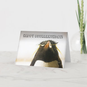 Funny Penguin Cards | Zazzle UK