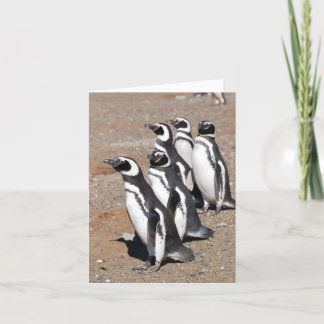 Penguin Happy Birthday Wishes Card