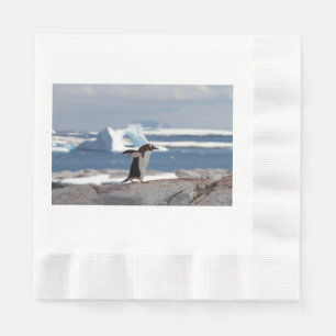 Penguin in front of an ice arch napkin