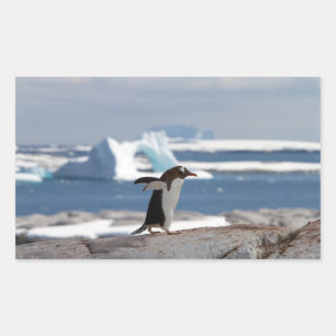 Penguin in front of an ice arch rectangular sticker