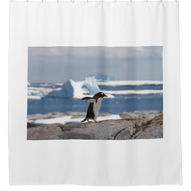 Penguin in front of an ice arch shower curtain (Front)