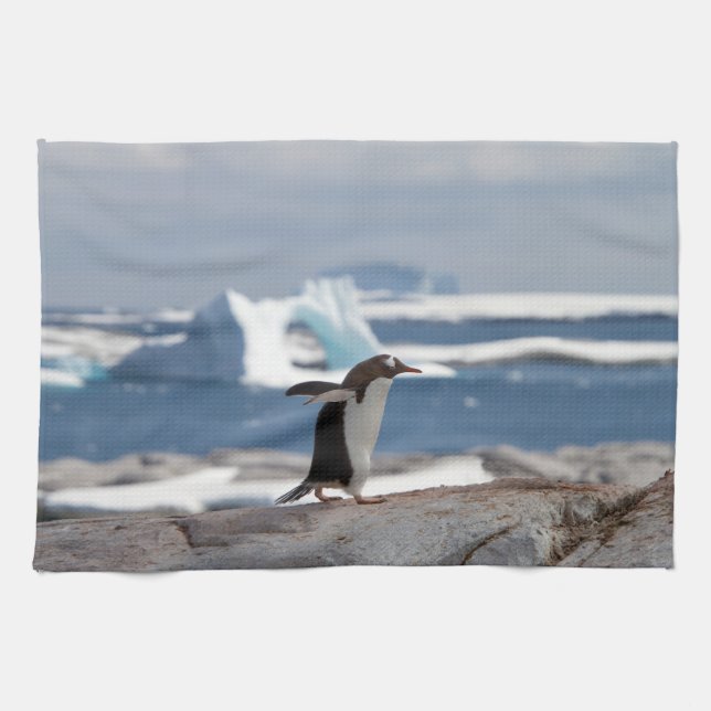 Penguin in front of an ice arch tea towel (Horizontal)