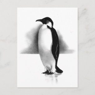 PENGUIN IN PENCIL: REALISM ART POSTCARD