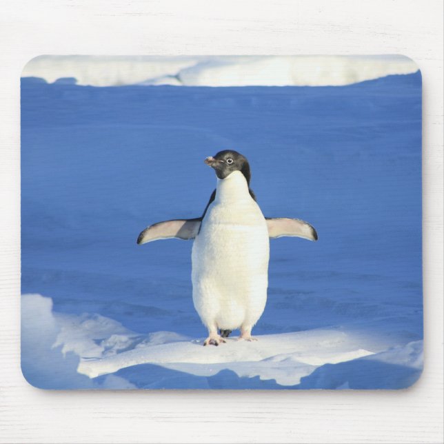 Penguin in the Snow Mousepad (Front)