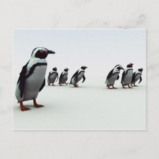 Penguin Line-up Postcard