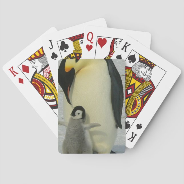 Penguin Looking at Chick Playing Cards (Back)