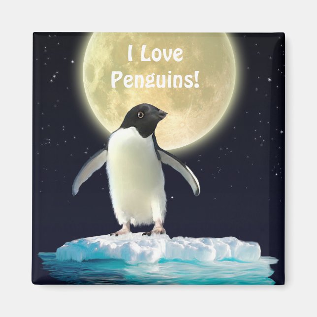 PENGUIN MOON Penguin Lover Art Magnet (Front)