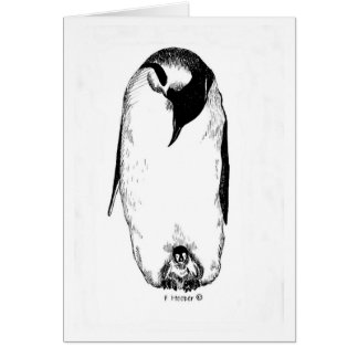 Penguin mother and chick