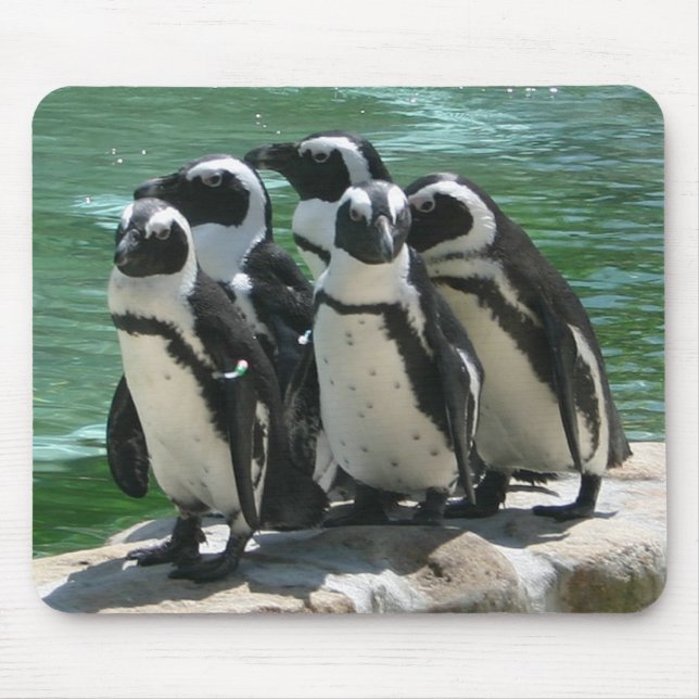 Penguin Mousepad (Front)
