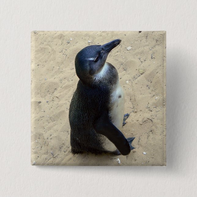 Penguin on sand 15 cm square badge (Front)