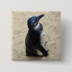 Penguin on sand 15 cm square badge