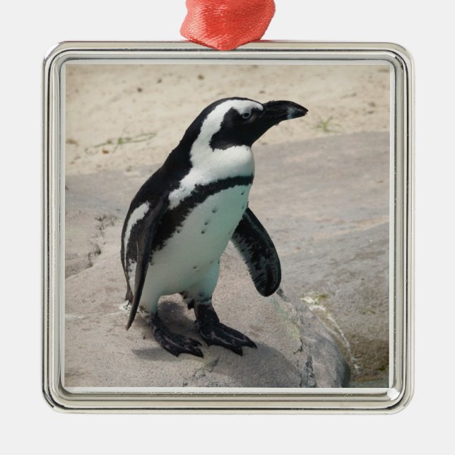 Penguin Ornament (Front)