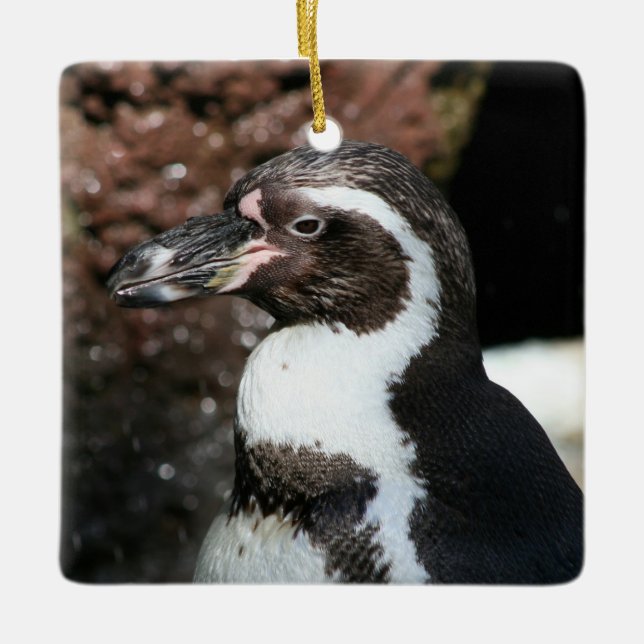 Penguin Ornament (Front)