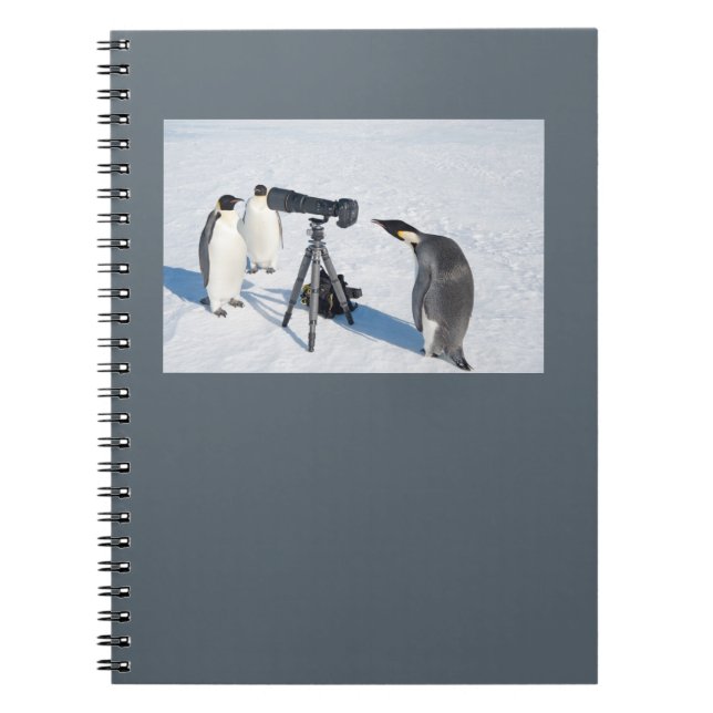 Penguin Paparazzi Notebook (Front)