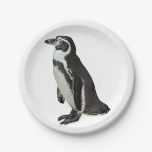 Penguin Paper Plate