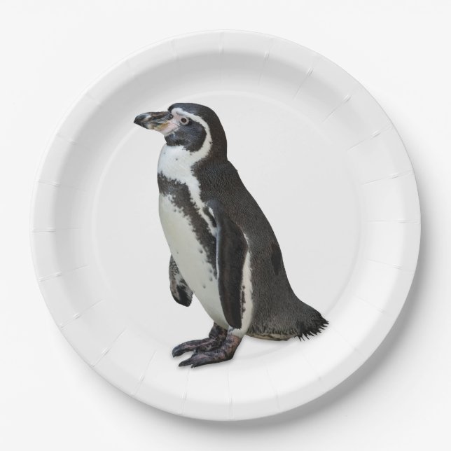 Penguin Paper Plate (Front)