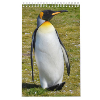 Penguin-Pedia: Penguins of the World Calendar