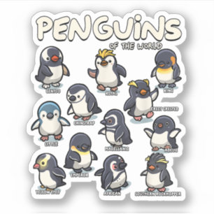 Penguin Penguins Animals of the World Penguin Love