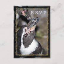 Penguin Photo Zoo Wedding RSVP Cards