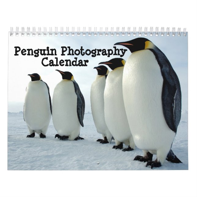 Penguin Photography Calendar (Cover)