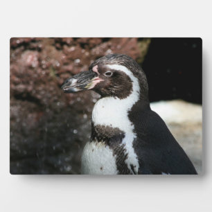 Penguin Plaque