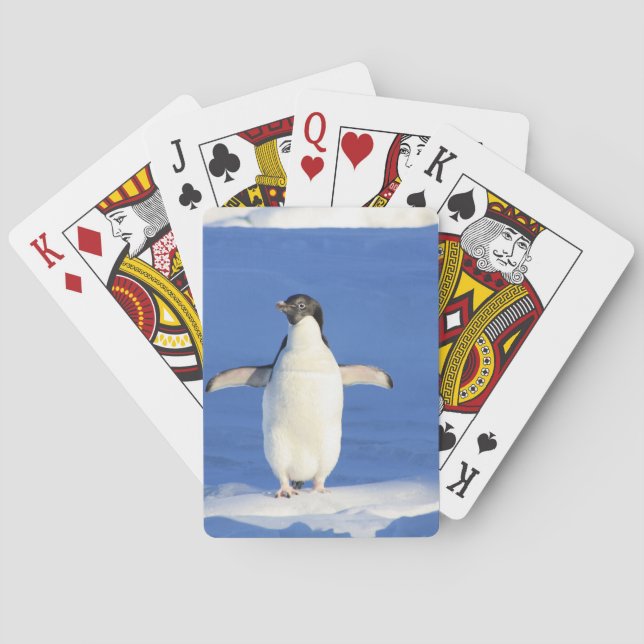 Penguin Playing Cards (Back)