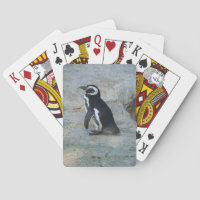 Penguin Playing Cards