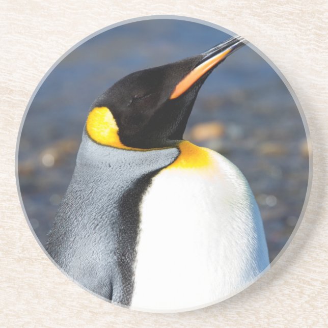 Penguin Portrait Coaster (Front)
