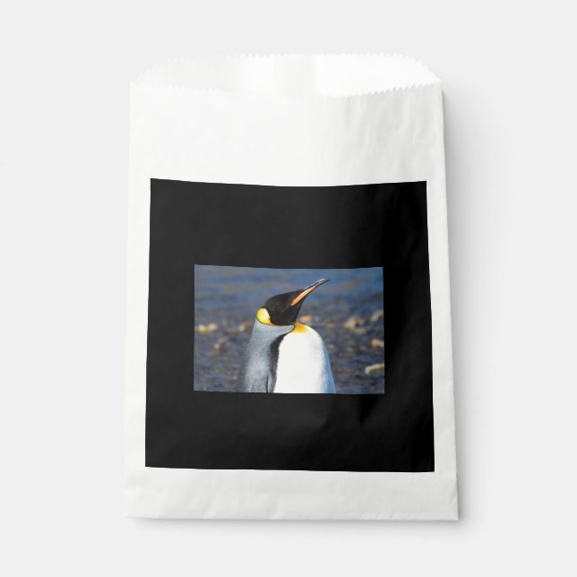 Penguin Portrait Favour Bags (Front)