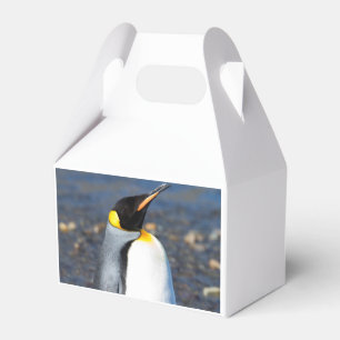 Penguin Portrait Favour Box