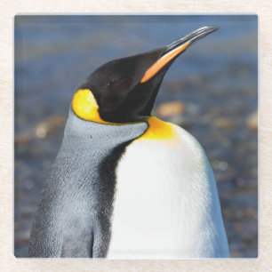 Penguin Portrait Glass Coaster