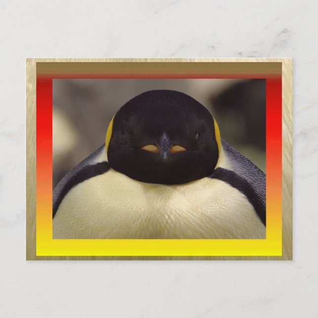 Penguin Postcard (Front)