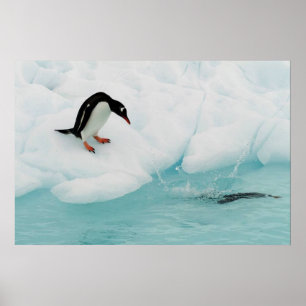 Penguin Poster
