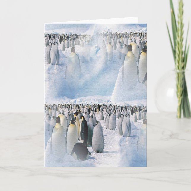 Penguin Products Holiday Card (Front)