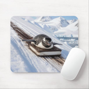 Penguin Sliding on an Ice Cream Sandwich Sled Mouse Mat