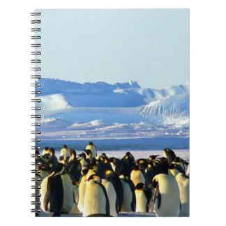 Penguin spiral notebook