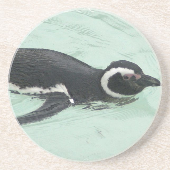 Penguin Swimming Coaster (Front)