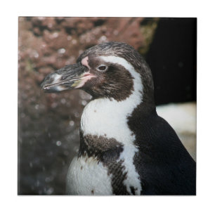 Penguin Tile