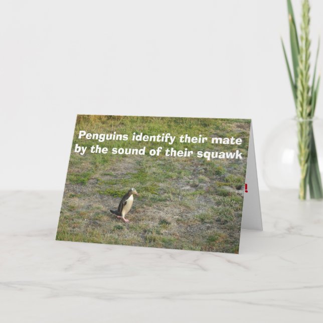 Penguin Valentine Holiday Card (Front)