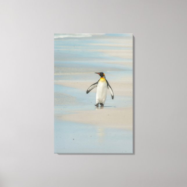 Penguin walking on the beach canvas print (Front)