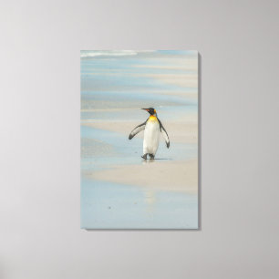 Penguin walking on the beach canvas print