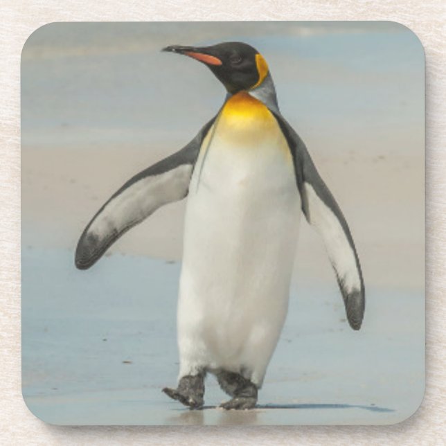 Penguin walking on the beach coaster (Front)