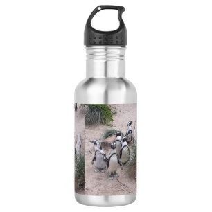 Penguin waterbottle 532 ml water bottle