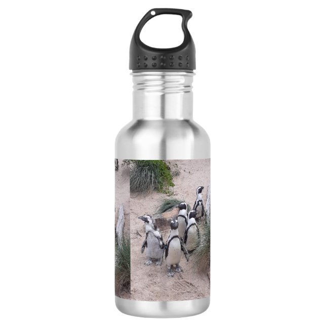 Penguin waterbottle 532 ml water bottle (Front)