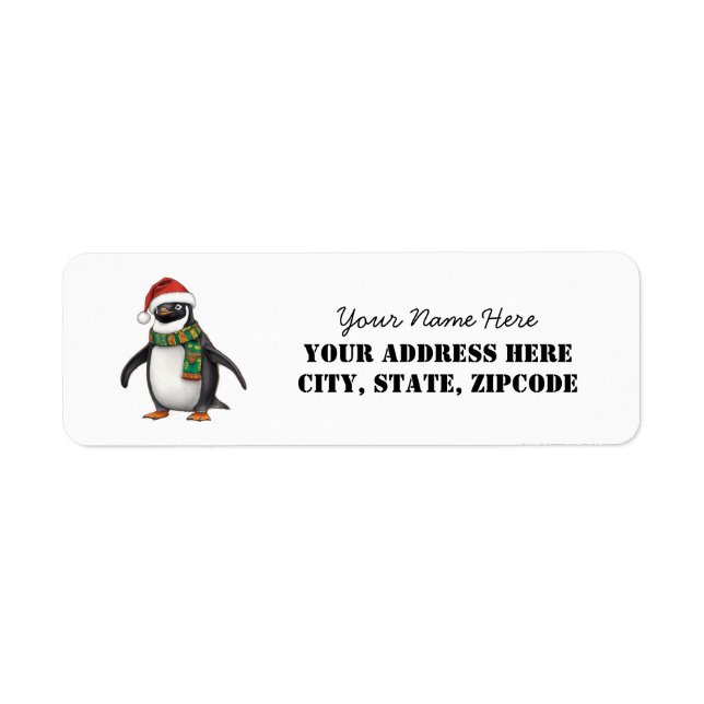 Penguin wearing scarf and santa hat (Front)