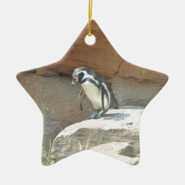Penguin, Wildlife, Animal, Wild Bird, Zoo, Summer Ceramic Tree Decoration (Front)